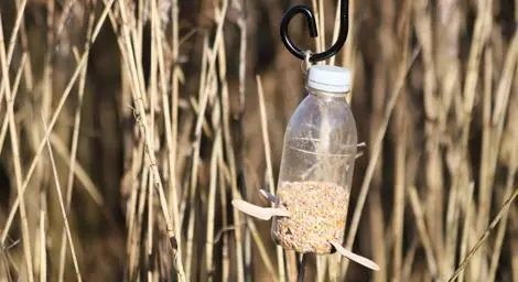 Bird feeder made from a plastic bottle. 