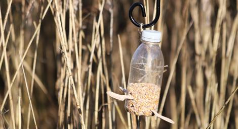 Bird feeder made from a plastic bottle.